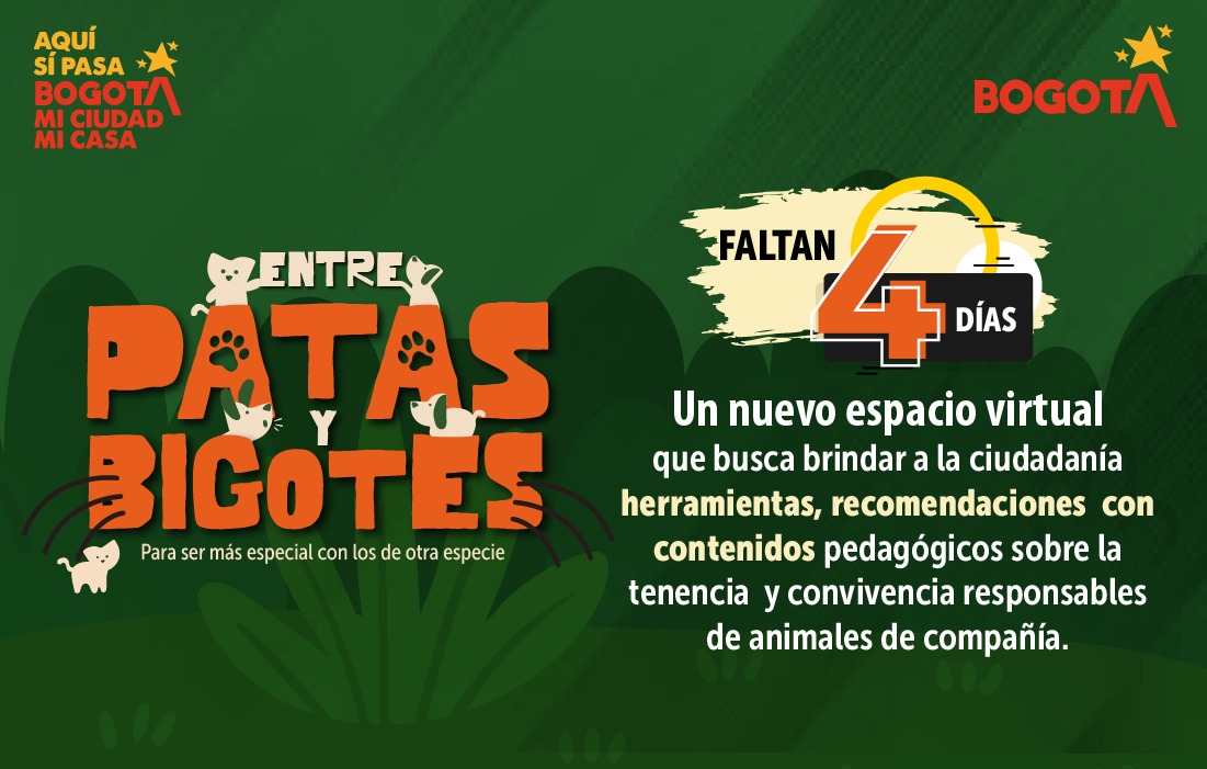 Imagen de la campaña patas y bigotes, en texto dice que fatan cinco dias para este espacio virtual 